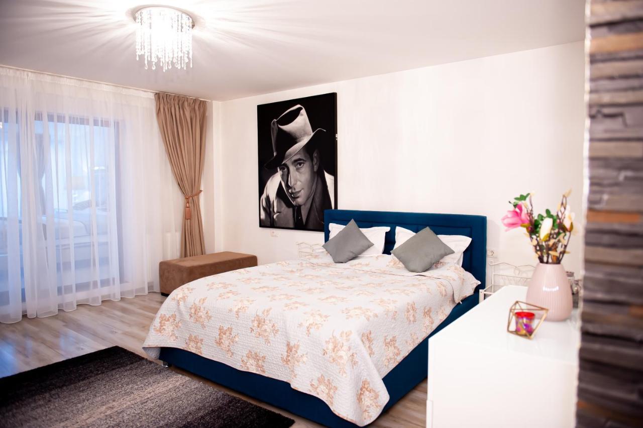 Kai Mountain Luxury Apartment Braşov Eksteriør billede